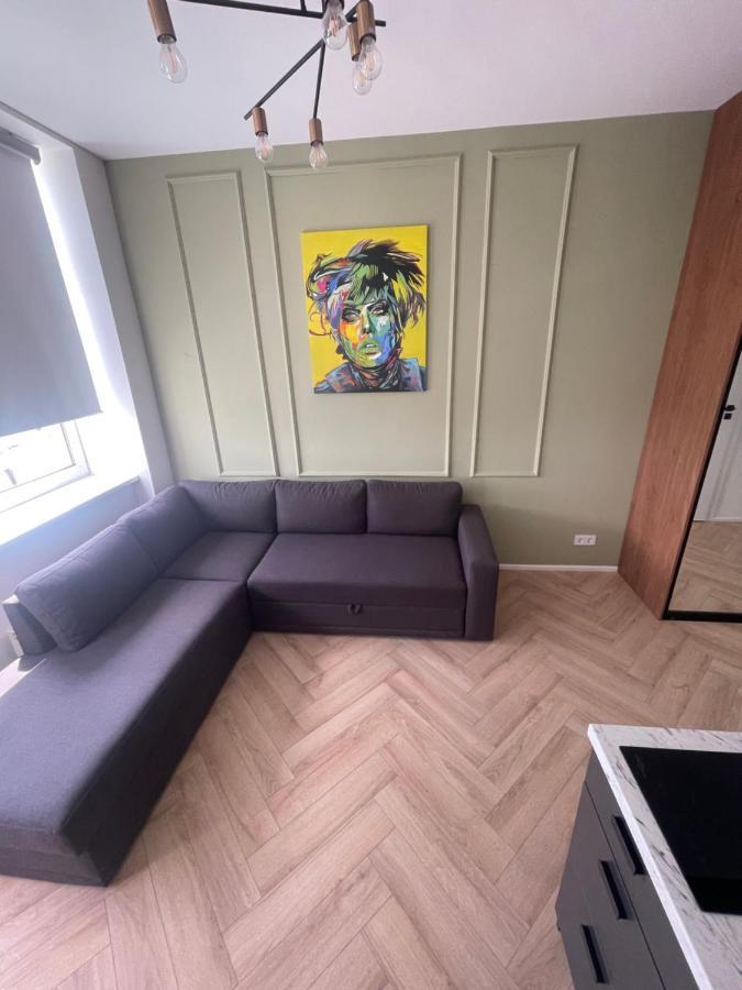 Airport Apartment 14 Self Check-In Free Parking فيلنيوس المظهر الخارجي الصورة